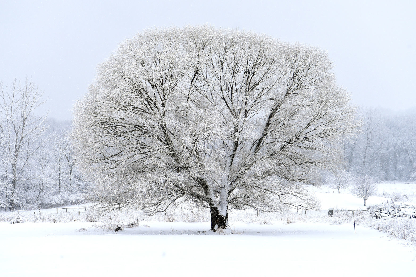 Frosted countryside 4